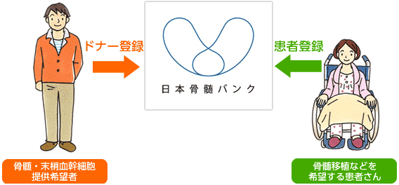 日本骨髄バンク