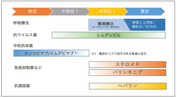 新型コロナウイルス感染症（COVID-19）　診療の手引き・第5.3版