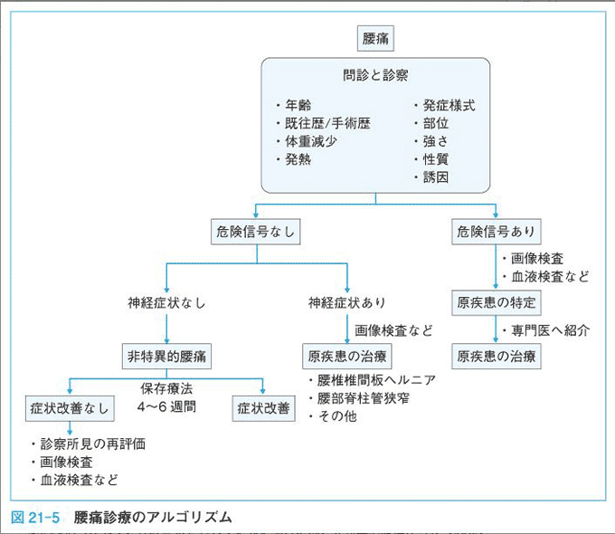 腰痛診療のアルゴリズム